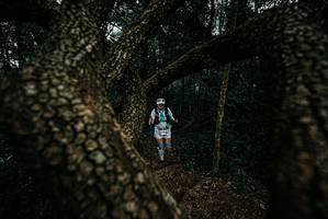 BIB: 
                            <button type="button" onclick="openModal(25700635)" class="btn btn-primary btn-sm float-right btn-popup" data-toggle="modal" data-target=".modal-high-quality">
                        <i class="fas fa-shopping-cart"></i> Add to Cart
                    </button>
                                            <button type="button" onclick="isThisMe(25700635, true)" class="btn btn-success btn-sm float-right btn-popup btn-isme hidden" data-toggle="tooltip" data-placement="bottom" title="นี่คือรูปของคุณใช่ไหม คลิกที่นี่เพื่อเอาเข้าอัลบั้ม">
                        <i class="fas fa-plus"></i> Add to album
                    </button>
                    <button type="button" onclick="isThisMe(25700635, false)" class="btn btn-warning btn-sm float-right btn-popup btn-isnotme hidden">
                        <i class="fas fa-ban"></i> Remove from album
                    </button>